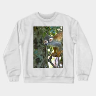 NEW THE PANASONIC FZ 1000 PAR OKAIO CREATION by okaio caillaud olivier 	      NEW THE PANASONIC FZ 1000 PAR OKAIO CREATION Crewneck Sweatshirt